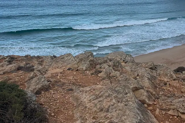 Beliche